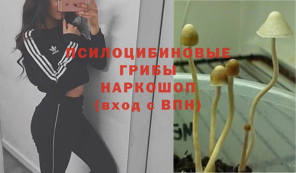 MDMA Армянск