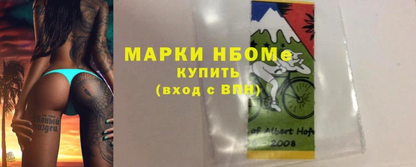 PSILOCYBIN Аркадак