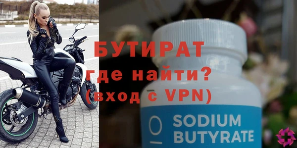 хмурый Пересвет